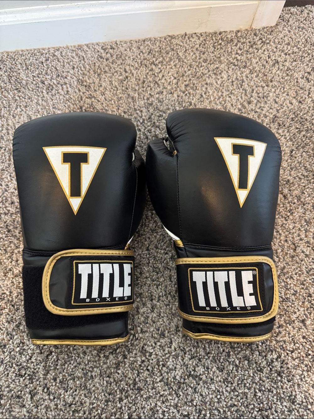TITLE Boxing Gloves in Black with Gold Trim